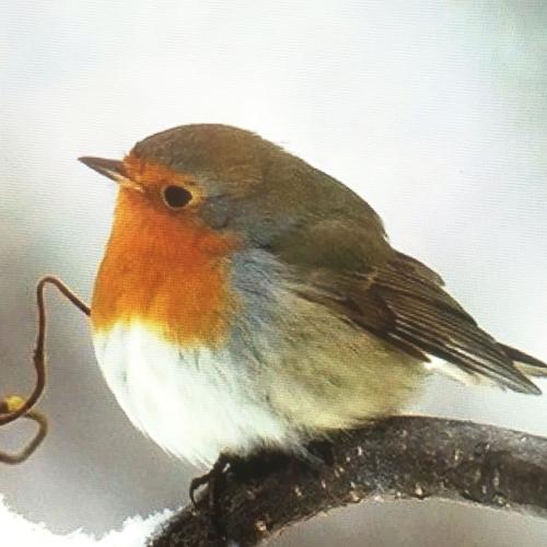 สมาชิกหมายเลข 899502