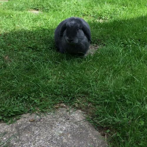 สมาชิกหมายเลข 4859130