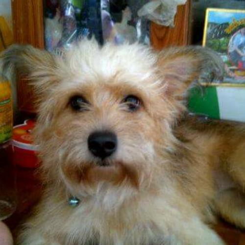 สมาชิกหมายเลข 4861692