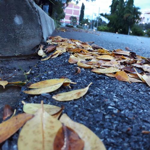 สมาชิกหมายเลข 4861908