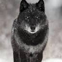 สมาชิกหมายเลข 3706103