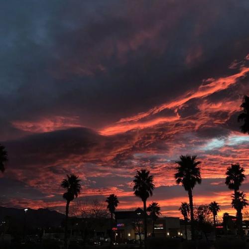 สมาชิกหมายเลข 5683797