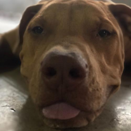 สมาชิกหมายเลข 5684182