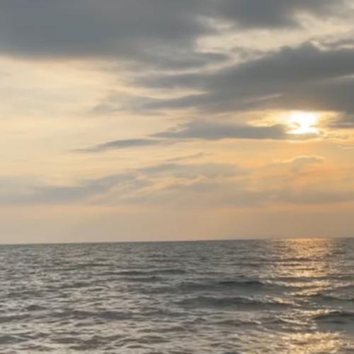 สมาชิกหมายเลข 6431511