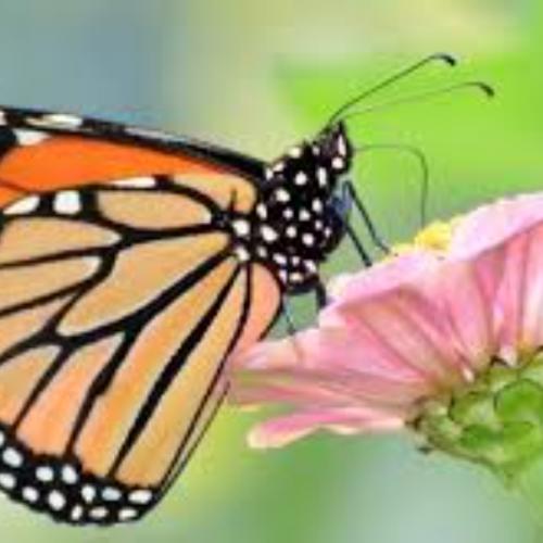 สมาชิกหมายเลข 6713945