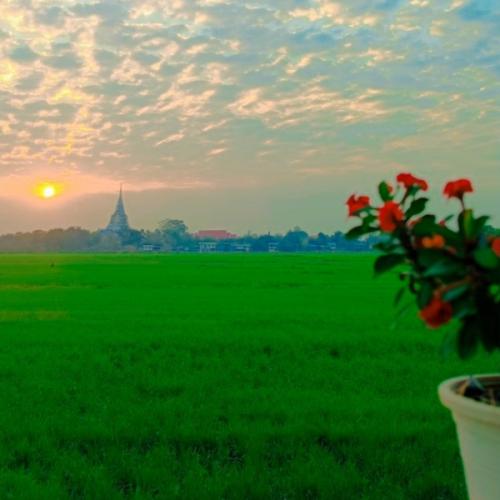 สมาชิกหมายเลข 7869502