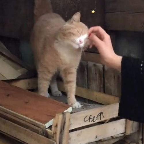 สมาชิกหมายเลข 8504546