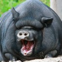 สมาชิกหมายเลข 707236