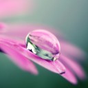 เบาหวิว-ปลิวลม-ตัวกลม-นมเล็ก