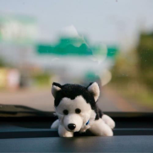 สมาชิกหมายเลข 4524550