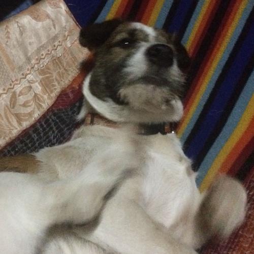 สมาชิกหมายเลข 2389892