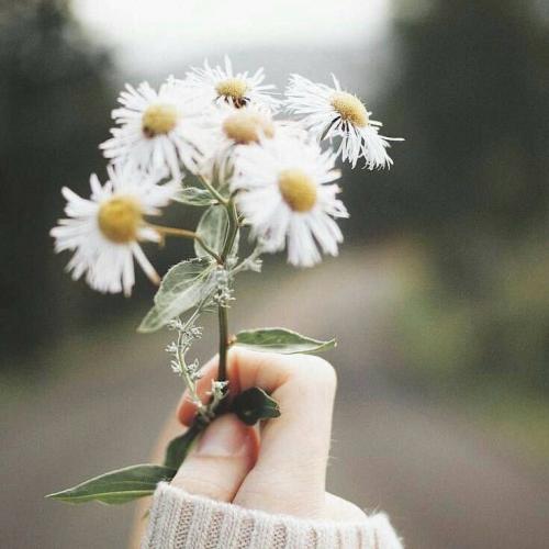 สมาชิกหมายเลข 3272822