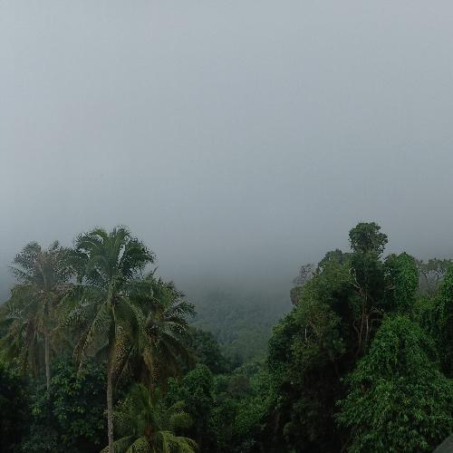 สมาชิกหมายเลข 2596461