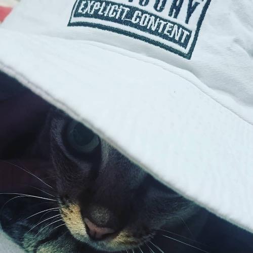 สมาชิกหมายเลข 4830356