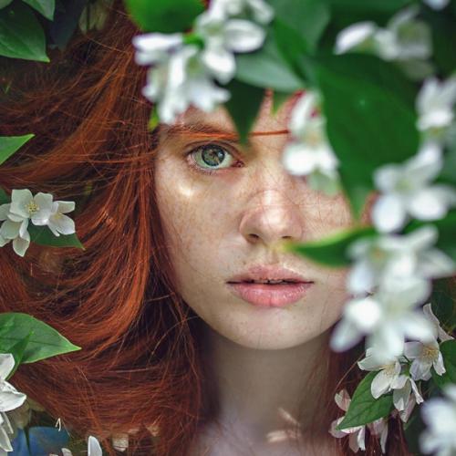 สมาชิกหมายเลข 6264303