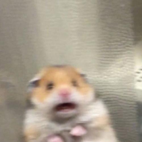 สมาชิกหมายเลข 6267499