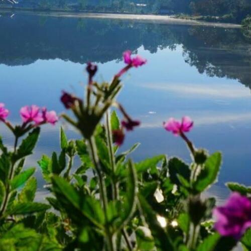 สมาชิกหมายเลข 6267791