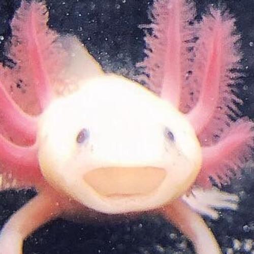 สมาชิกหมายเลข 6927040