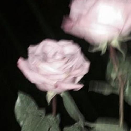 สมาชิกหมายเลข 7183425