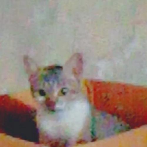 สมาชิกหมายเลข 7676798