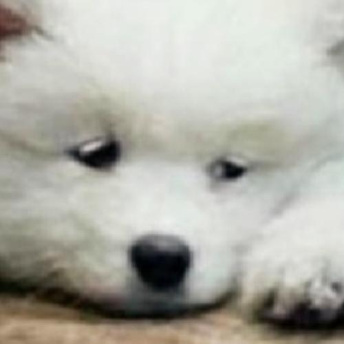 สมาชิกหมายเลข 7690148