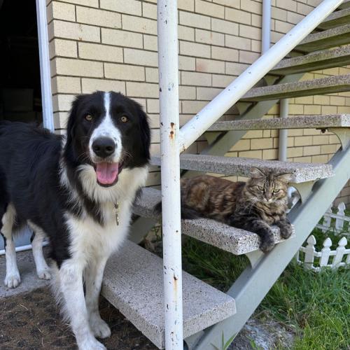 สมาชิกหมายเลข 3557148