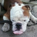 สมาชิกหมายเลข 3851611