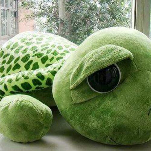 สมาชิกหมายเลข 3036108