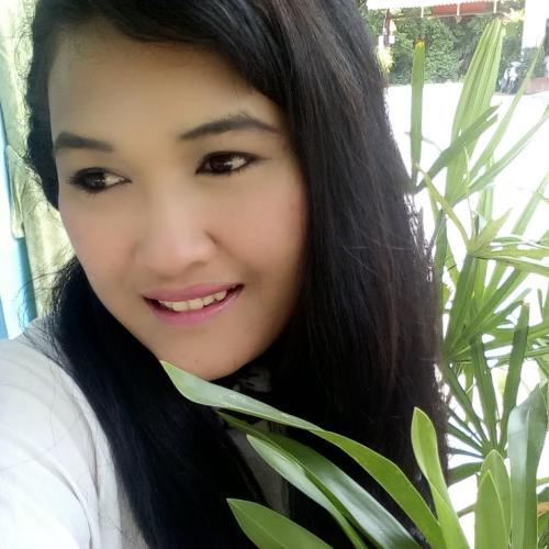 สมาชิกหมายเลข 4351163