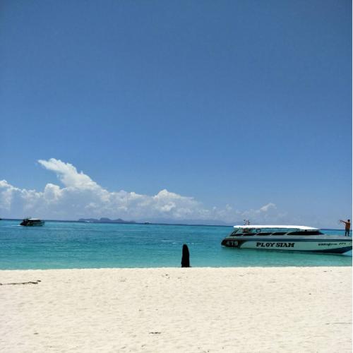 สมาชิกหมายเลข 4523276