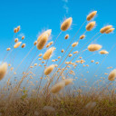 สมาชิกหมายเลข 4823527