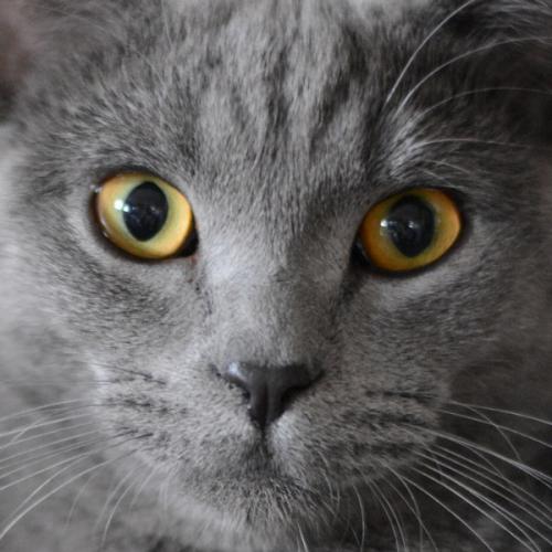 สมาชิกหมายเลข 1352447