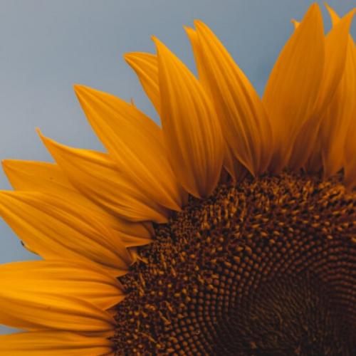 สมาชิกหมายเลข 7691279