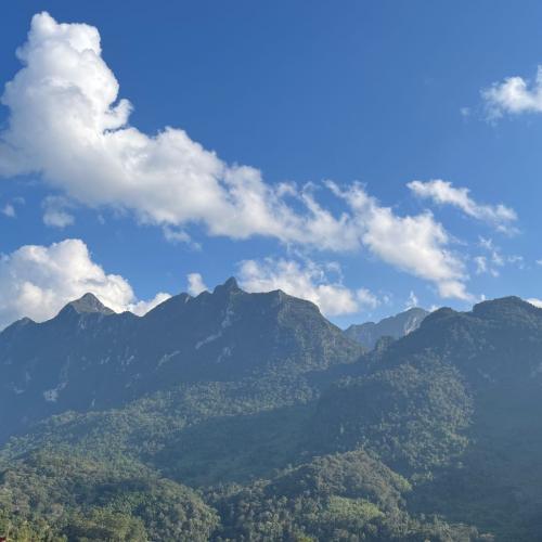 สมาชิกหมายเลข 8631298