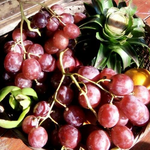 สมาชิกหมายเลข 3862553