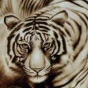 สมาชิกหมายเลข 4851402