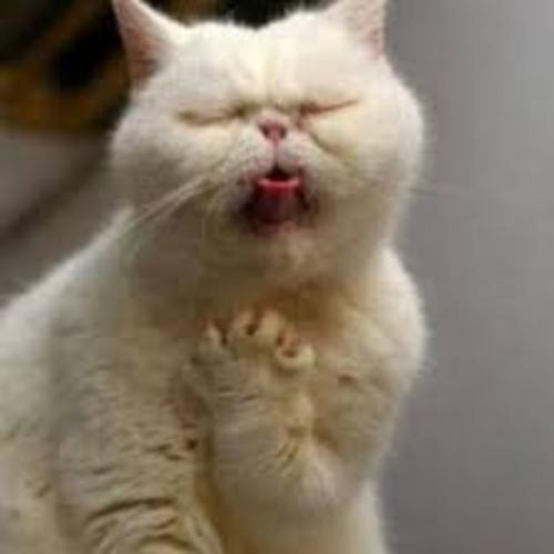 สมาชิกหมายเลข 5686157