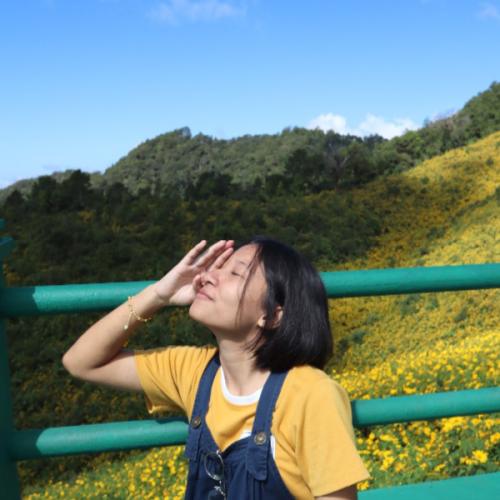 สมาชิกหมายเลข 5686261