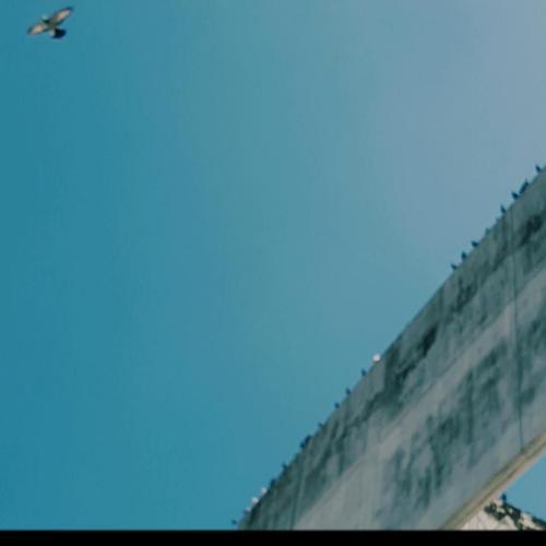 สมาชิกหมายเลข 6035844