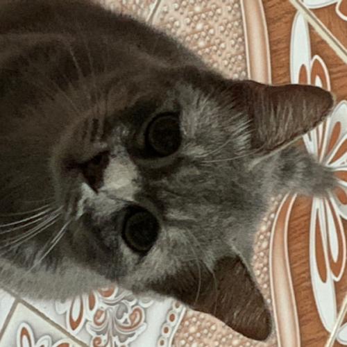 สมาชิกหมายเลข 3218197