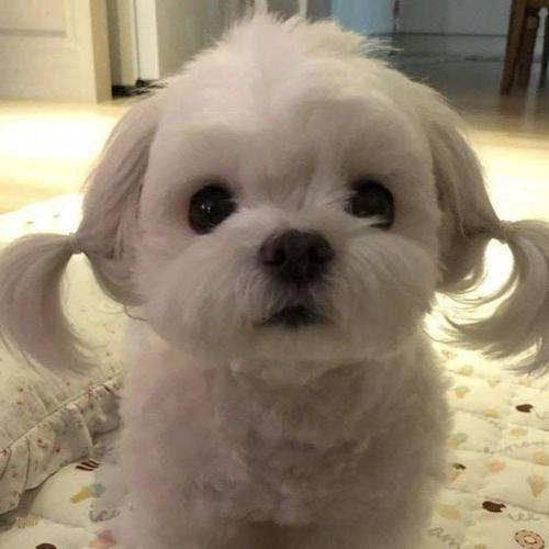 สมาชิกหมายเลข 5064260