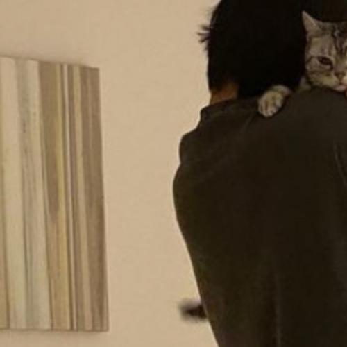 สมาชิกหมายเลข 6928261