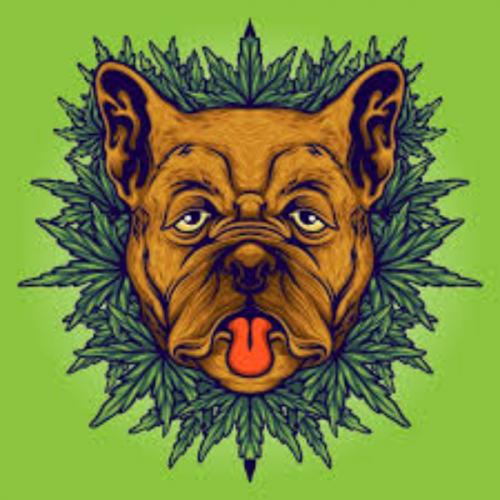 สมาชิกหมายเลข 798205