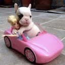 สมาชิกหมายเลข 3620987