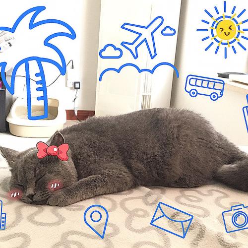 สมาชิกหมายเลข 4086076