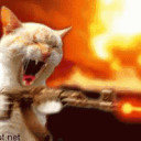 สมาชิกหมายเลข 4850141