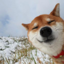 สมาชิกหมายเลข 5251673