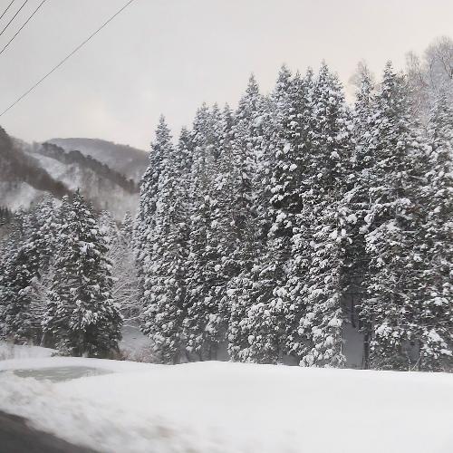 สมาชิกหมายเลข 5635363