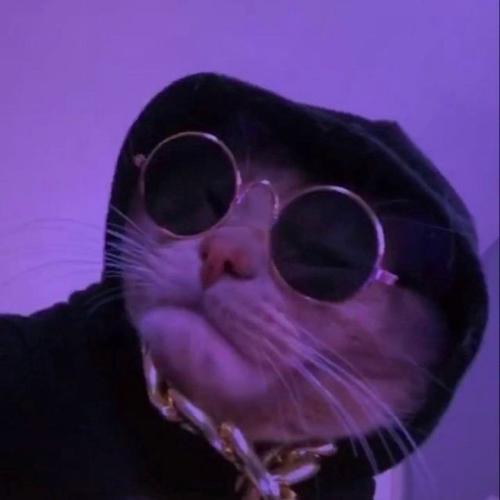 สมาชิกหมายเลข 5920819