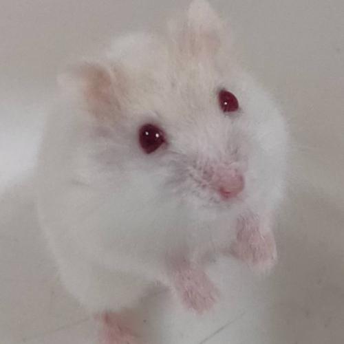 สมาชิกหมายเลข 6246122